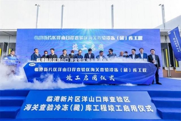最新！洋山口岸查验区海关查验冷冻（藏）库工程启用-1.jpg