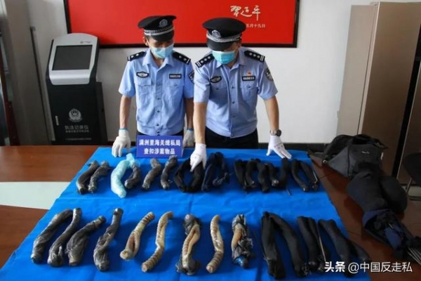 【中国反走私】660件！满洲里海关移交查获走私野生动物制品-3.jpg