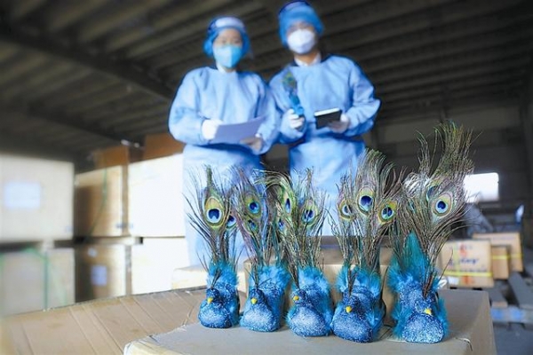大窑湾海关查获蓝孔雀翎羽毛制品480件-1.jpg