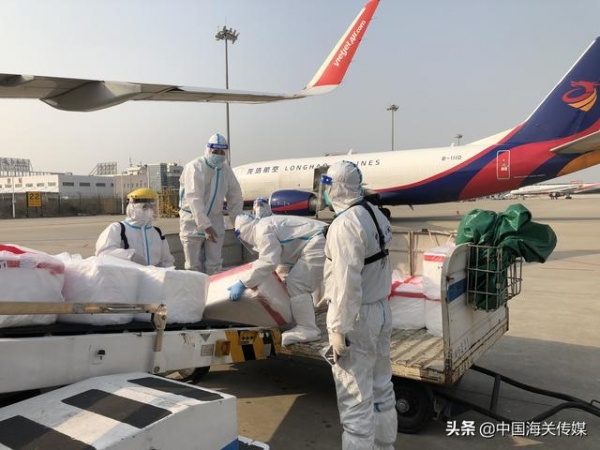 5.6吨活体黑虎虾“包机”入境-2.jpg