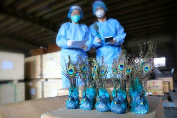 痛心！大窑湾海关查获480件蓝孔雀翎羽毛制品-1.jpg