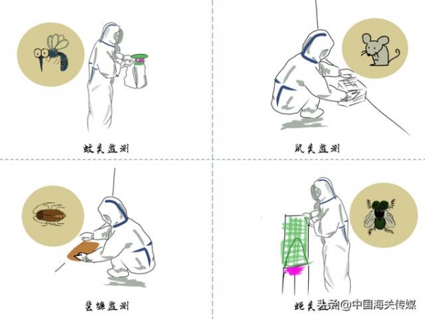漫“话”国门生物安全-8.jpg