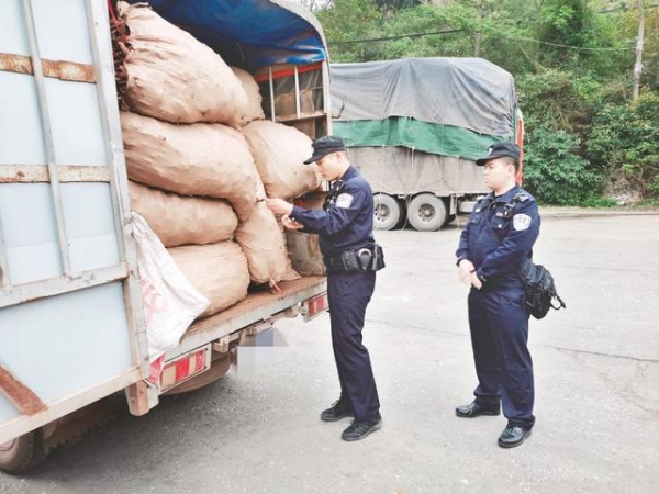 南宁海关缉私局：30吨中药材涉嫌走私被查 货值约50万元-1.jpg