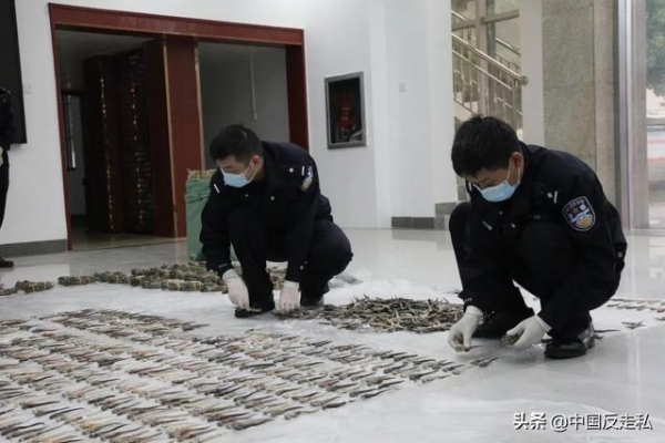 【国门利剑2021】南宁海关缉私局破获一起涉嫌走私海马干案，涉案海马干7000余尾-2.jpg