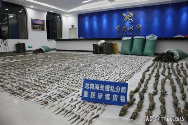 【国门利剑2021】南宁海关缉私局破获一起涉嫌走私海马干案，涉案海马干7000余尾-6.jpg