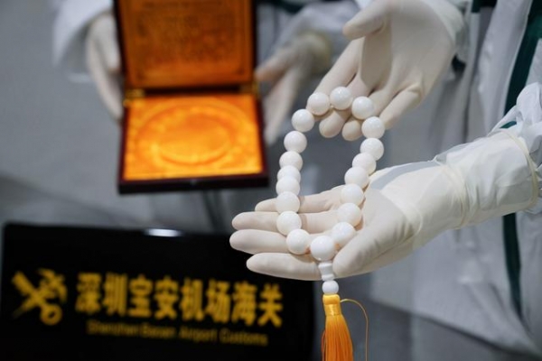 深圳宝安机场海关查获多种濒危动物及其制品-1.jpg