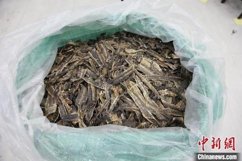 南宁海关查获涉嫌走私海马干7535尾-4.jpg
