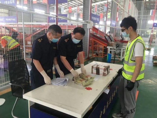 茂名海关：推进“国门绿盾2021”行动，让外来种子“无处遁形”-2.jpg