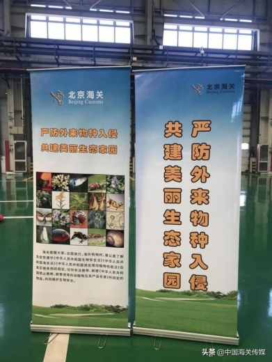 北京海关开展2021年全民国家安全教育日生物安全宣传教育活动-1.jpg