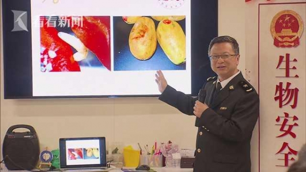 “沉浸式”感受 海关“入侵生物”亮相自博馆-3.jpg
