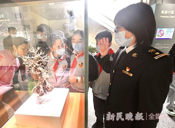 参观展览，亲手做实蝇标本……上海海关法治宣传教育基地开放活动“老扎劲”-2.jpg