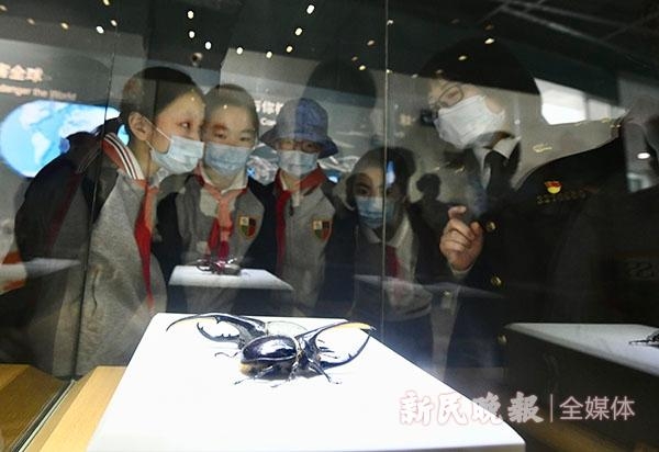 参观展览，亲手做实蝇标本……上海海关法治宣传教育基地开放活动“老扎劲”-3.jpg
