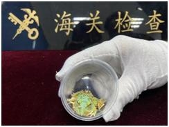 运输、寄递、携带出入境物品，你需要了解的生物安全法要求-9.jpg