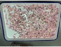 运输、寄递、携带出入境物品，你需要了解的生物安全法要求-11.jpg