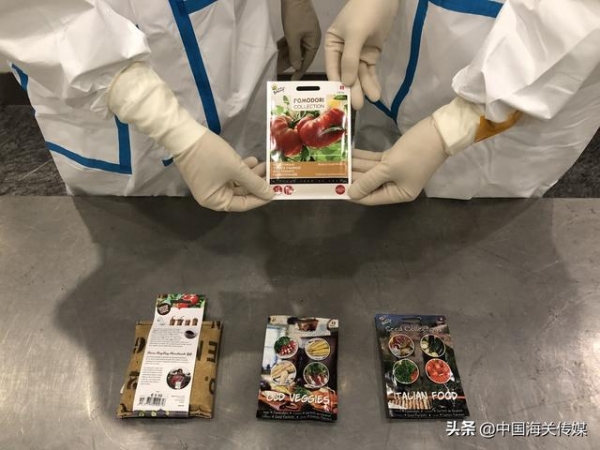果蔬种子不能随便带回国-1.jpg