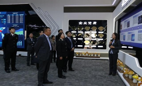 济南海关调研组来淄川区调研-1.jpg