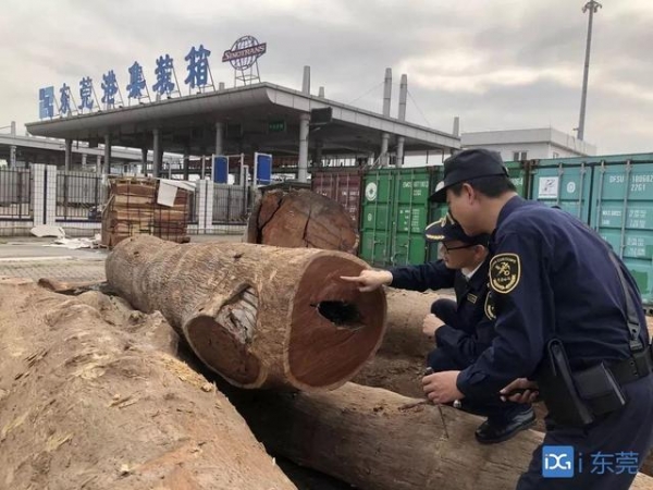 有害生物想蒙骗入境？看海关如何出招-5.jpg