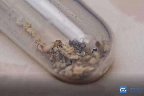 有害生物想蒙骗入境？看海关如何出招-6.jpg