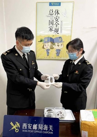 虫虫闯“关”失败！西安海关在入境邮包中查获昆虫标本21件-2.jpg