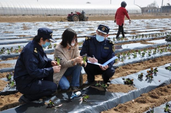 春耕时节，一季度大连海关已监管15吨种子出口-2.jpg