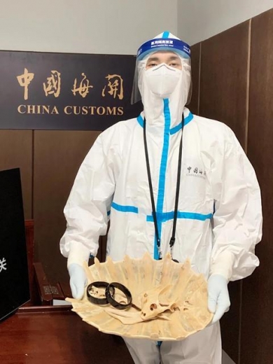 男子入境行李箱显示异常，海关查获脸盆大鳖壳和砗磲手镯-2.jpg