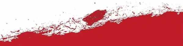 2015年4月16日 重庆两路寸滩保税港区贸易功能区正式启动-2.jpg