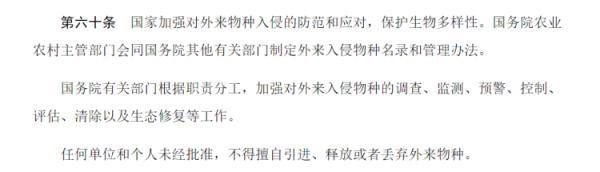 红火蚁、非洲蟑螂竟成宠物！海关截获-5.jpg