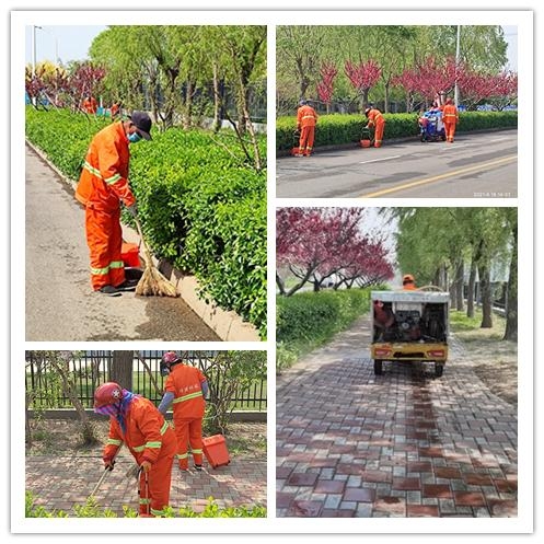 保税区城环局组织开展杨柳飞絮专项治理-3.jpg