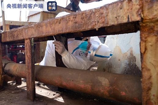 南通海关再次截获活体剧毒“寡妇蛛”及大量新鲜蜘蛛卵囊-1.jpg