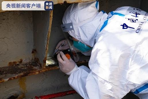 南通海关再次截获活体剧毒“寡妇蛛”及大量新鲜蜘蛛卵囊-2.jpg
