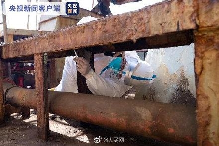南通海关截获活体剧毒寡妇蛛及大量新鲜蜘蛛卵囊-1.jpg
