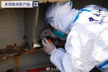 南通海关截获活体剧毒寡妇蛛及大量新鲜蜘蛛卵囊-2.jpg