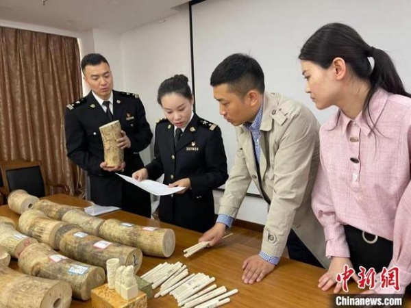 南京海关移交一批罚没濒危野生动植物及其制品-4.jpg