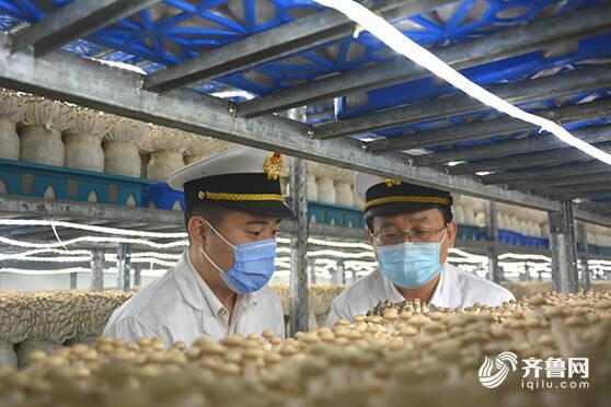 一季度进出口货值增长47.4%！德州海关主动作为 促进外贸经济“开门红”-3.jpg