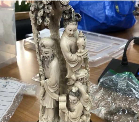 南京海关移交一批濒危野生动植物及其制品，其中含34段象牙原牙-3.jpg