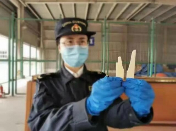 扣留！象牙“钢琴键”被海关查获，涉及濒危物种-1.jpg