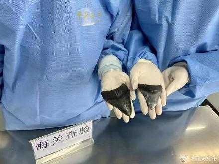 重庆江北机场海关首次查获巨齿鲨牙齿化石-2.jpg