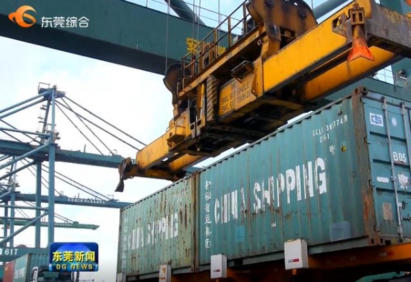 「视频」奋楫破浪开新篇｜东莞虎门港综合保税区封关运行一年 进出区货值达1660亿元-3.jpg