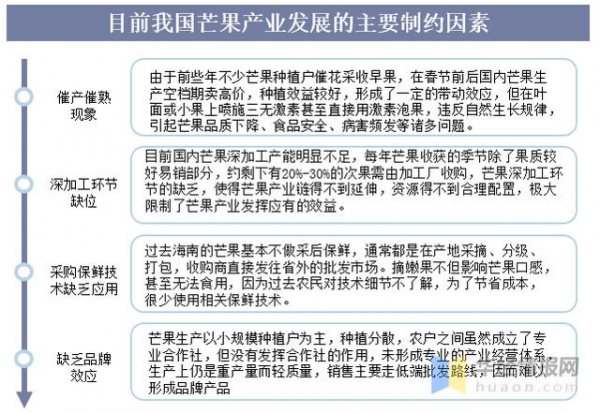 我国芒果产量及进出口情况分析，价格优势带动进口芒果竞争力提升-7.jpg