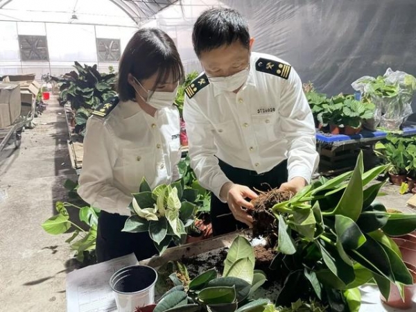 【动植物检疫】母亲节特辑｜送你一朵小红花-8.jpg