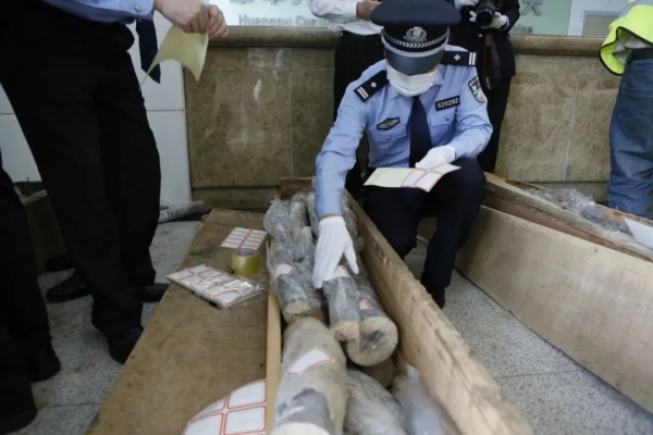 2748根!7.48吨!黄埔海关查获“1.17”特大象牙走私案w8.jpg