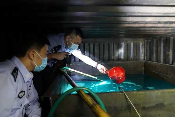 (视频)黄埔海关破获走私红油案 捣毁7个红油加工窝点w2.jpg