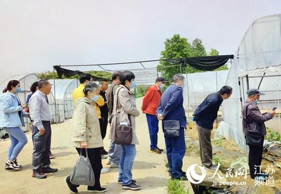 金陵海关开展“回望百年路、助力新征程”主题活动-3.jpg