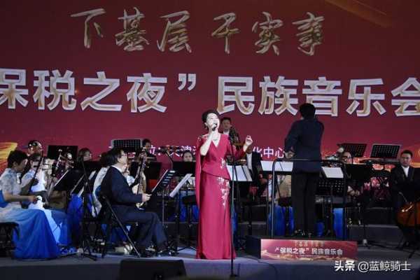 天津港保税区举办“保税之夜”民族音乐会-6.jpg