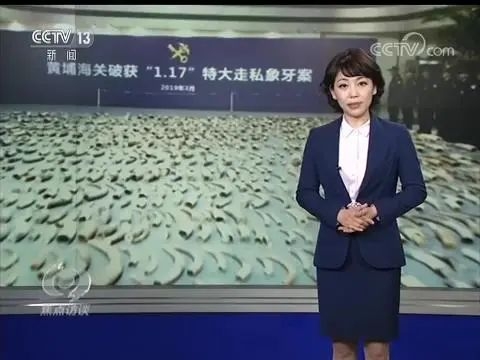 黄埔海关召开2020年打私工作会议w14.jpg