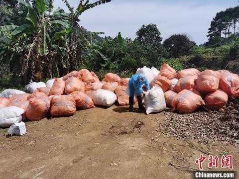 南宁海关首次查获走私人发案 查获涉案人发3.18吨-4.jpg