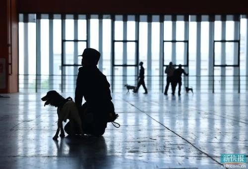 广州海关国门生物安全宣讲走进国际宠博会：萌宠出入境相关规定，了解一下-2.jpg