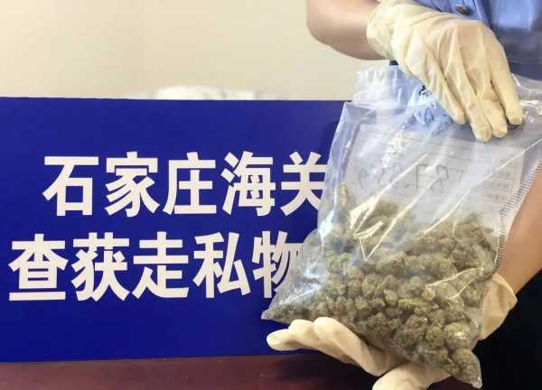 石家庄海关连续破获两起邮寄渠道走私大麻案w2.jpg