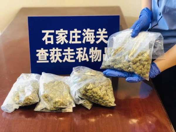 石家庄海关连续破获两起邮寄渠道走私大麻案w3.jpg