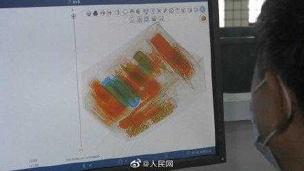 海关截获活体长戟犀金龟3只-3.jpg